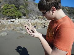 Tide Pool Life