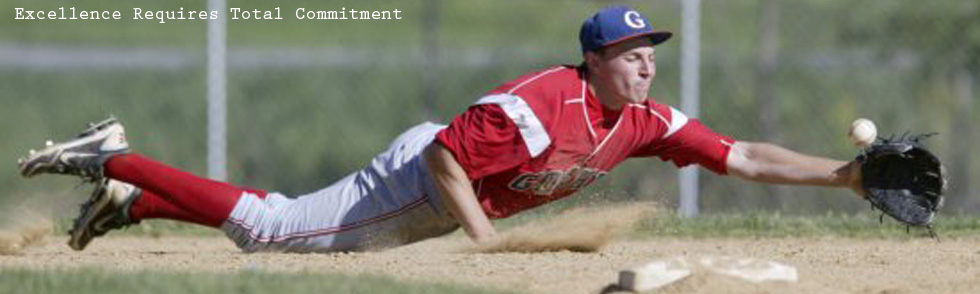 Baseball Diving Stop