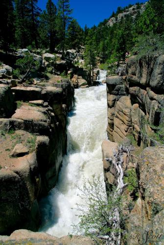 Sonora Pass