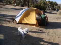 Joshua Tree Camp Ground